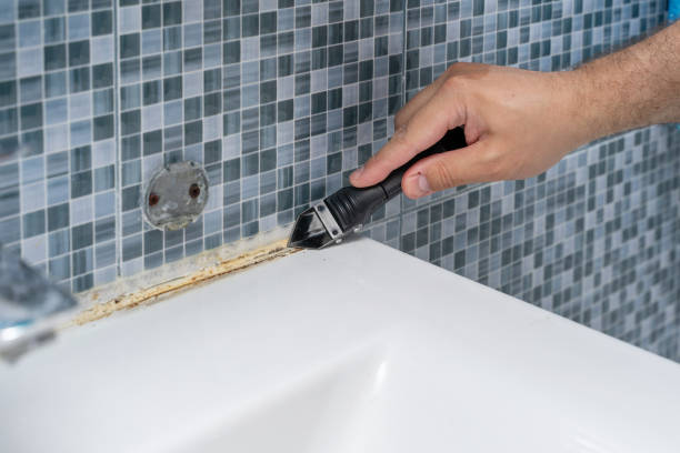Best Toxic Mold Removal  in Seeley, CA